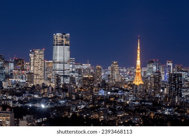 Night view of Tokyo, Japan. - Powered by Shutterstock