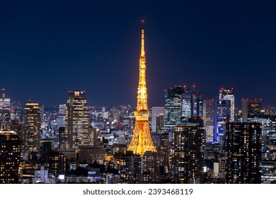 Night view of Tokyo, Japan. - Powered by Shutterstock