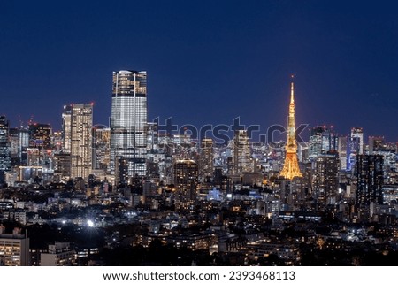 Night view of Tokyo, Japan.