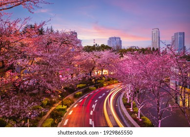 Night View Of Tokyo Midtown In Roppongi,  Japan