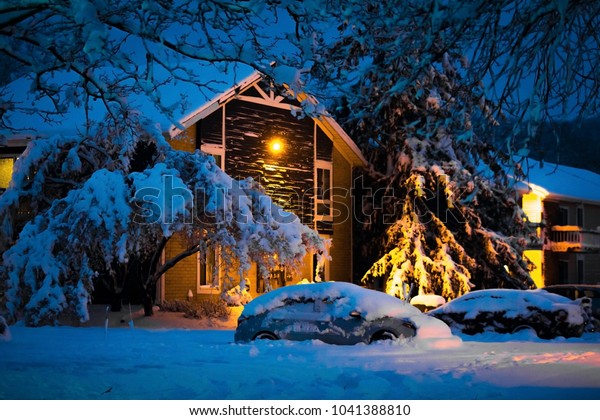 Night village under heavy\
snow storm