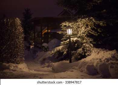 Night Winter Backyard Garden With Some Christmas Lights 