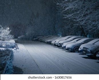 Night Winter City. Cars In The Parking Lot In The Snow