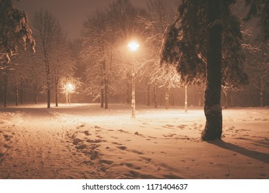 Night Winter Landscape. Snowy Alley Of City Illuminated Park