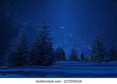 Night Winter Landscape With Trees In Snow. Stars In Clear Sky