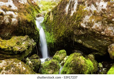 Nightcap Ranges National Park Rain Forest Panorama