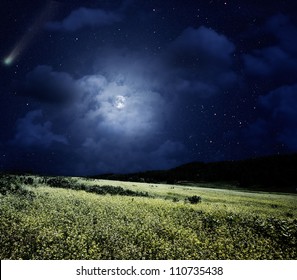 Nightly meadow. Natural summer backgrounds with comet and full moon