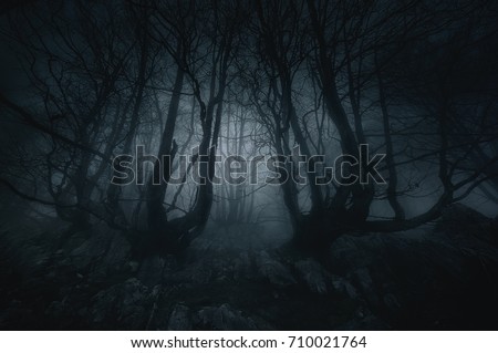 nightmare forest with creepy trees