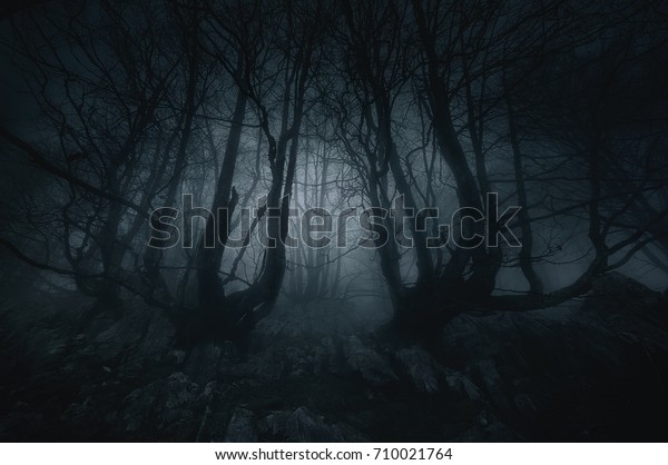 nightmare forest with creepy
trees