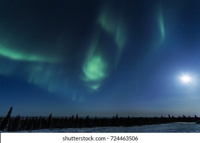 Nightsky Lit Up With Aurora Borealis, Northern Lights, Wapusk National Park, Manitoba, Canada.