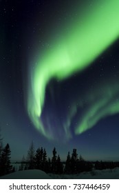 Nightsky Lit Up With Aurora Borealis, Northern Lights, Wapusk National Park, Manitoba, Canada.