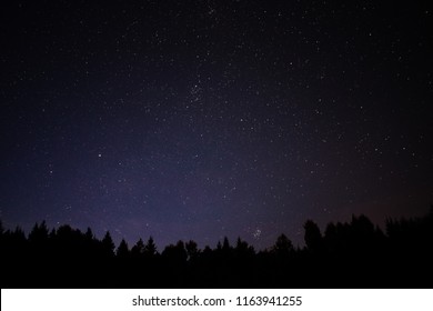 nightsky in norway with forest underneath