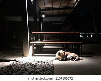 In The Nighttime