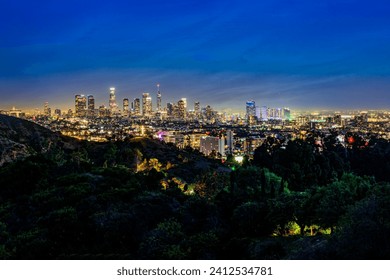 A nighttime aerial view of the downtown Los Angeles skyline from atop a hill of trees