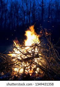 Nighttime Backyard Winter Fire