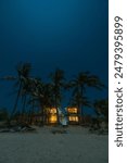 Nighttime beach scene with palm trees and a modern village in the foreground