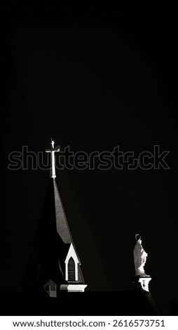 Nighttime church steeple and illuminated Virgin Mary statue atop Holy Cross Immaculata under deep black sky with focused light highlights.