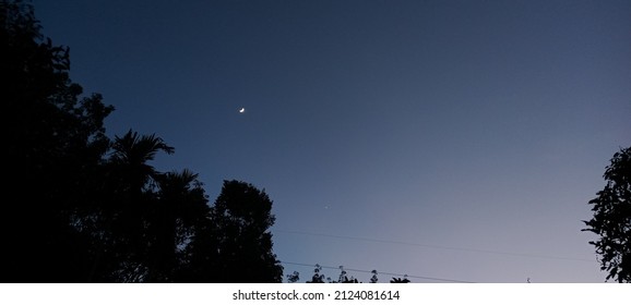 Nighttime Landscape Photography, A Contrast Shot Of The Moonlight And Trees During The Late Night.