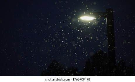                                Nighttime Snowfall With Light Source