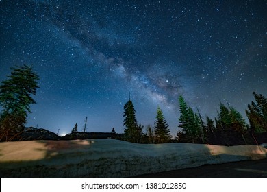 Nighttime Walk Through The Sequoia Trees, With The Milky Way Above