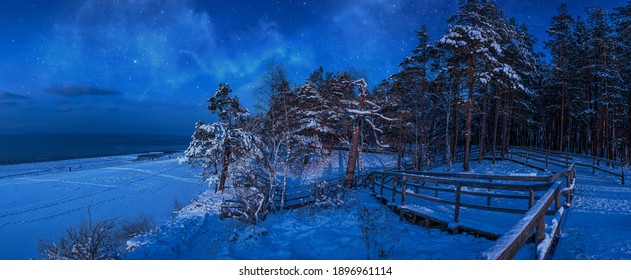 Nighttime winter scene with snow covered pine forest in a moon light at starry night. Panoramic view of coniferous forest with wooden pathway near sea coast against beautiful night sky with stars. - Powered by Shutterstock