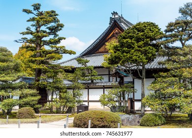 The Nijo Castle in kyoto a spring shoot