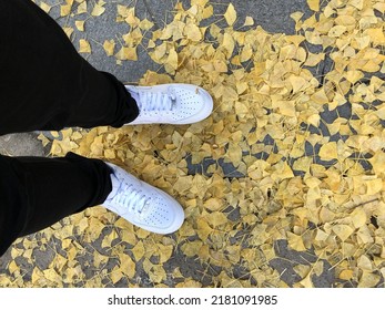 Nike Airforce One above the scattered autumn leaves