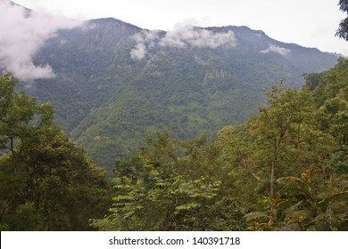 Nilgiri Mountains, India