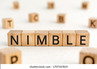 Nimble - word from wooden blocks with letters, quick agile nimble concept, random letters around white background - Shutterstock ID 1707547819