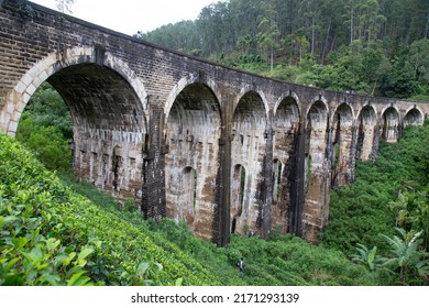 Nine arch bridge in Sri Lanka. It's a very beautiful historical bridge. Bridge with tea plantation. 