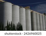 Nine tall silos for storing grain.