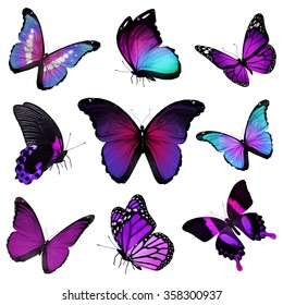 Beautiful Pink Butterfly Different Positions Vector Stock Vector ...