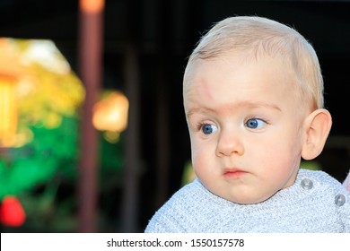 Little Boy With Blond Hair And Blue Eyes Images Stock Photos