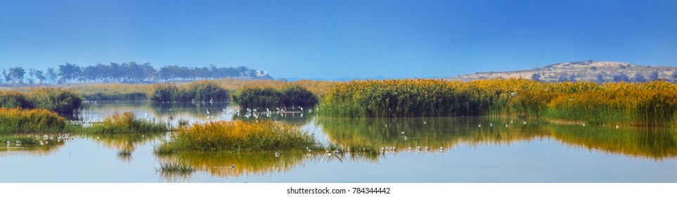 Ningxia Shizuishan Shahu Wetland Natural Landscape