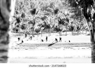 Ninh Thuan, Vietnam - July 21 2021: Workers Apply Fertilizer To The Turf Of A Golf Course And Mowing The Grass - Golf Course Maintenance