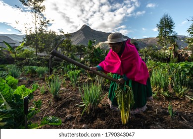 Nisag, Chimborazo / Ecuador - Circa 2015: A Strong, Indigenous Woman Carrying A Hack Or Axe To Work The Fields