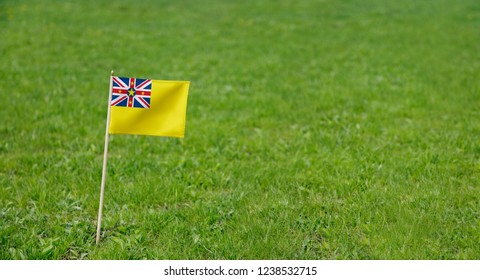 Niue flag. Photo of Niue flag on a green grass lawn background. Close up of national flag waving outdoors. - Powered by Shutterstock