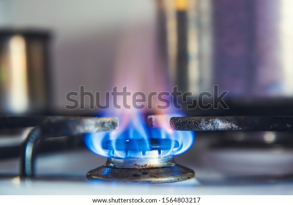 nlue burning gas in\
the kitchen background