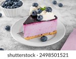 No baked blueberry cheesecake with berry jelly, whipped cream and fresh blueberries on top. Selective focus, copy space