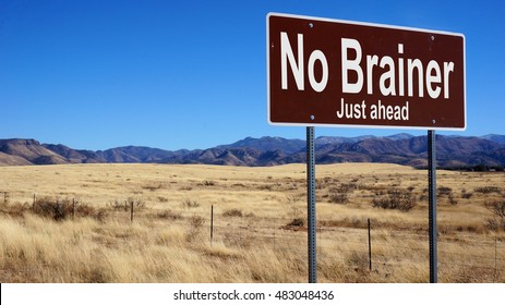 No Brainer brown road sign with blue sky and wilderness
