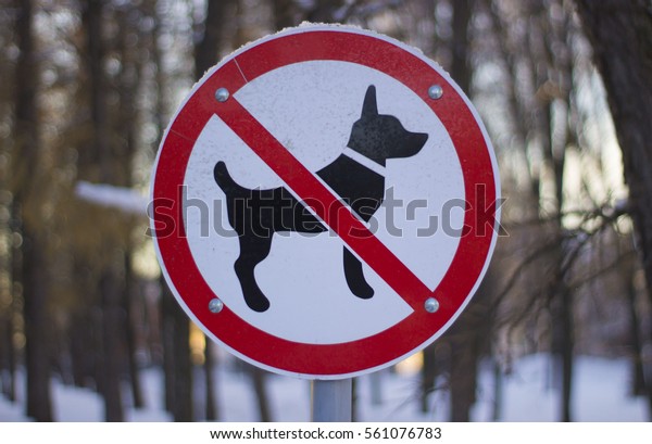 No Dog Allowed Sign in the\
Park