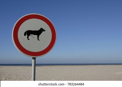 No Dogs Allowed On The Beach