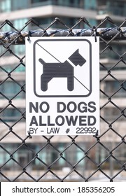 No Dogs Allowed Sign 