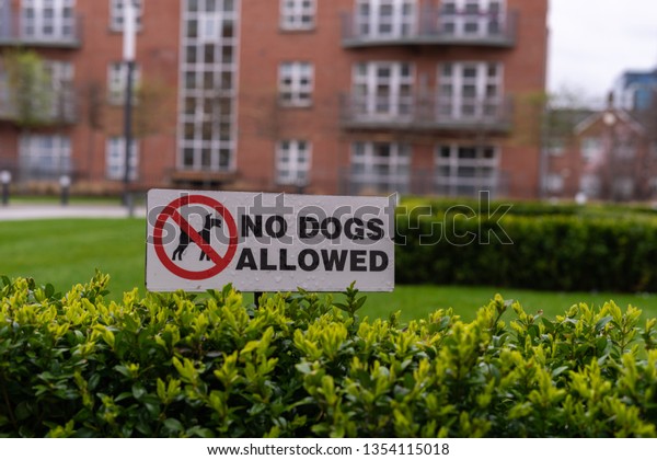 No dogs allowed sign attached to a bush\
building in the background in a gated\
area