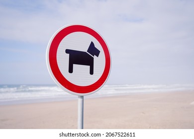 No dogs allowed signal at the beach. Dogs prohibited. Sign that prohibited dogs from entering the beach. Red sign dog prohibition, forbidden dogs.