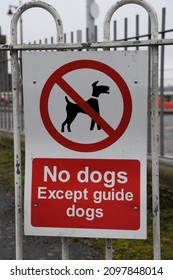 No Dogs Except Guide Dogs Sign In The UK. Red And White Sign On White Railings.