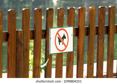 No Dogs Sigh. No Dogs Allowed Sign Hanging On A Wooden Fence Near Lake.  Sign Prohibiting Dog Walking Near Pond In The Park.  