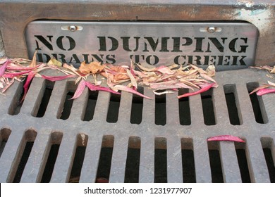 No Dumping Drains To Creek - Warning Sign On Steel Plate Guards Drain Inlet Near Grating Storm Drain. Red And Yellow Fall Leaves On Street Storm Drain