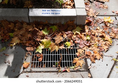 No Dumping Flows To Bay Warning Sign Near Grating Storm Drain. Dead Fallen Leaves Covering And Blocking Storm Drain.