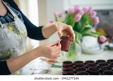 No face woman putting stickers notes on small pots with planted seeds at home kitchen. Preparing for new kitchen garden season. Sowing seeds. Soft selective focus, copy space.